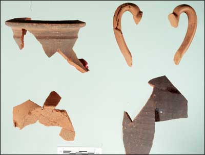 Fragments of a Two-handled Storage Jar (Fld-269)