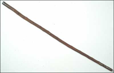 Walking Stick (Fld-082)