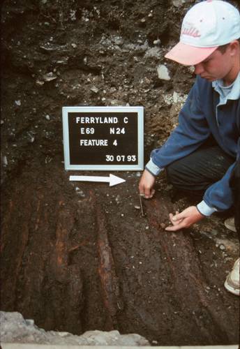 Preserved Wood Buried in a Wet Area of the Dig