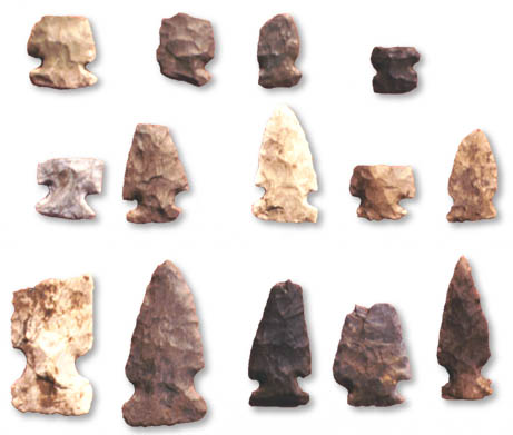 Beaches Complex Projectile Points