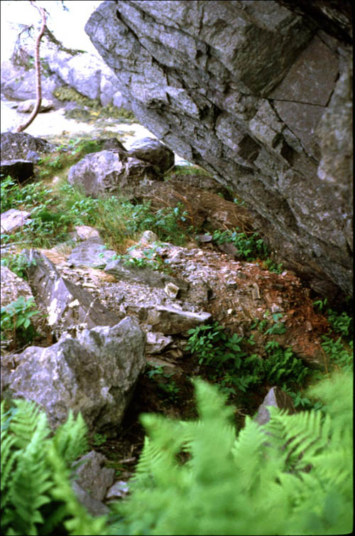 Beothuk Burial