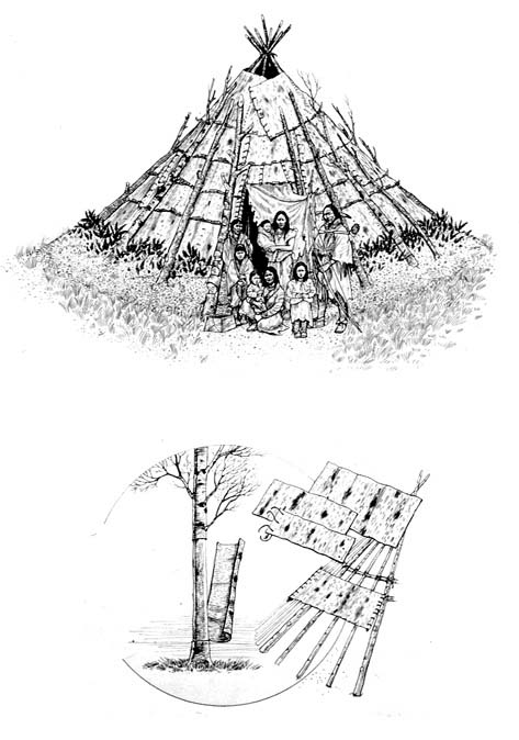 A Beothuk Wigwam