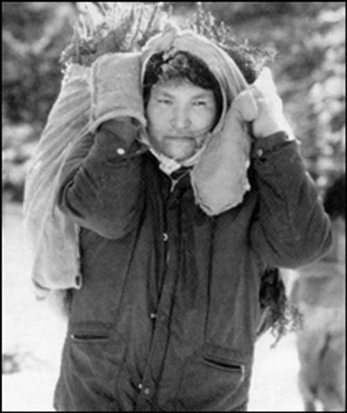 Innu Woman Carrying Tree Boughs