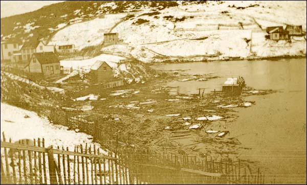 Port au Bras after the Tsunami, ca. November 1929 Port au Bras after the Tsunami, ca. November 1929