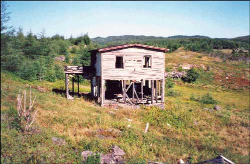 Jessie Marsh Abandoned House, Deer Harbour, 1992