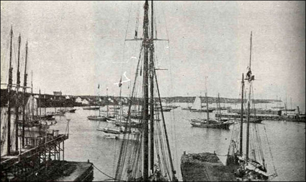 Port Union, n.d.