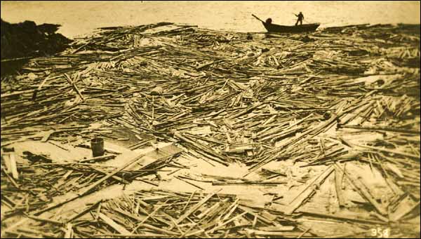Coastal Debris after Tsunami, 1929 Coastal Debris after Tsunami, ca. November 1929