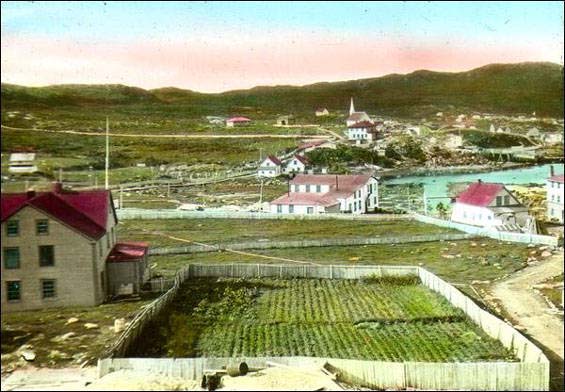 A Vegetable Garden in St. Anthony, ca. 1920