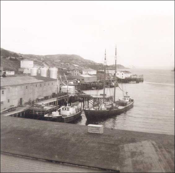 Wareham's wharf, Harbour Buffett, Placentia Bay, NL, 1960