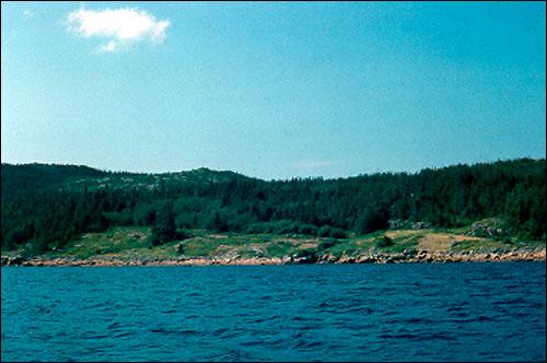 Barrow Harbour, 1975 Barrow Harbour, 1975