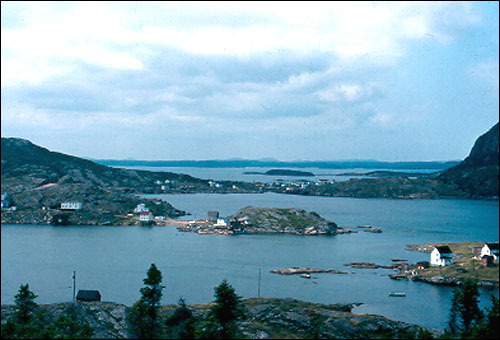 Bishop's Harbour, Salvage, 1983