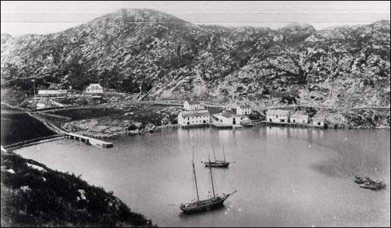 Boats docked at Ship Cove, Burin