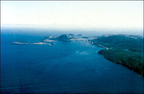 The Headland of the Eastport Peninsula at Salvage, September 19, 1986