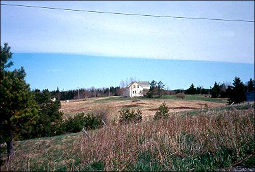 Farm Land, 2000