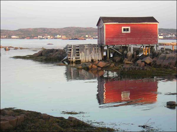 Fogo, NL, 2006