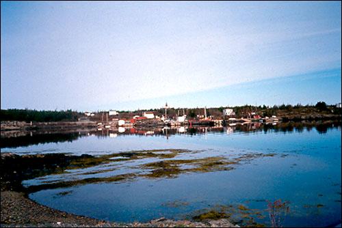 Holletts Cove (Halletts Cove), 2000
