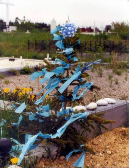 May bush, Flatrock's cemetery, 1999