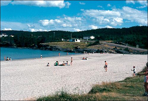 Southwest Beach, Eastport, 1983