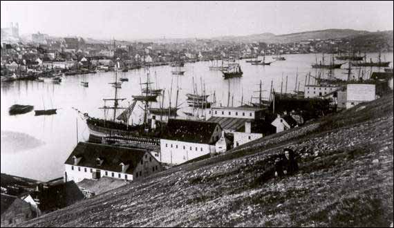 St. John's Harbour 