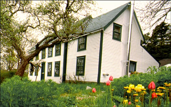 Thimble Cottage, St. John's, NL