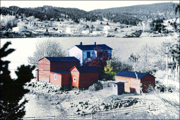 Trahey Property, Conception Harbour, NL Trahey Property, Conception Harbour, NL