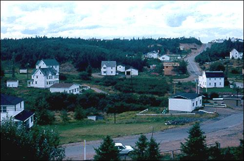 Turner Dwellings