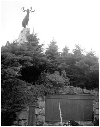 Newfoundland's War Memorial, Beaumont Hamel Park, France, July 1938