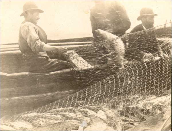 Three Men in a Boat Hauling a Cod Bag