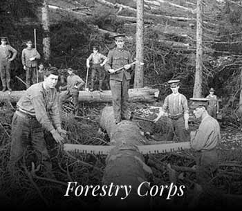 Forestry Corps