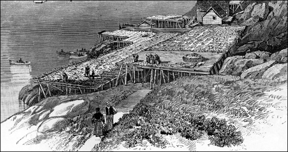 ish Drying Flakes, artist unknown, ca. 1885 ish Drying Flakes, artist unknown, ca. 1885