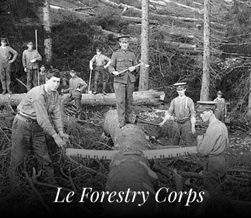 Forestry Corps