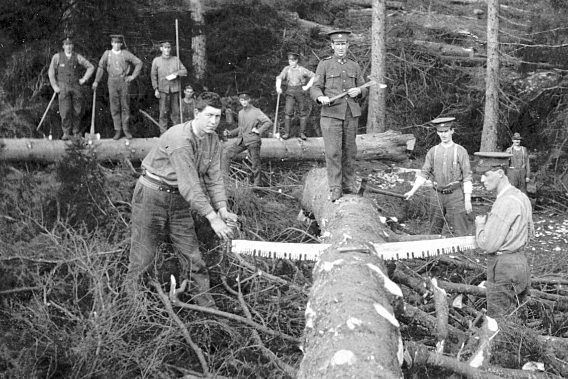 Forestry Corps working in forests of Scotland, ca. 1917