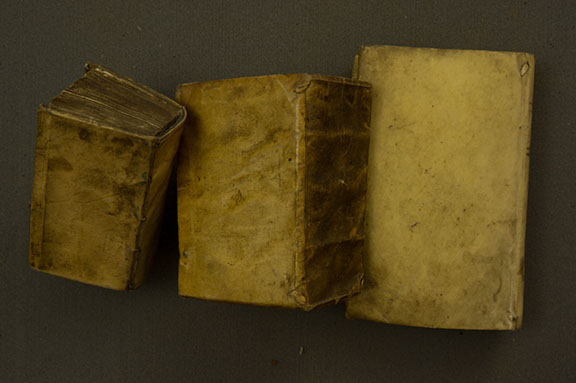 Sixteenth-century limp bindings.