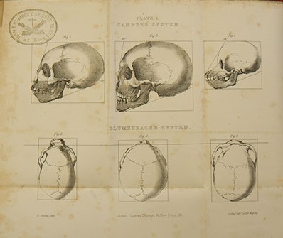 Nicholas Wiseman, Twelve Lectures on the Connexion between Science and Revealed Religion, 3rd ed, vol. 1