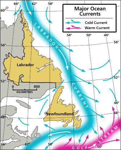 Major Ocean Currents