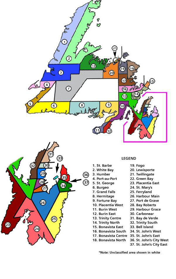 Newfoundland Electoral Boundaries for the 1946 National Convention