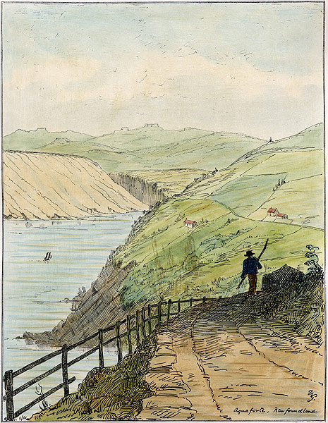 Plate VIII. Aquaforte, NL