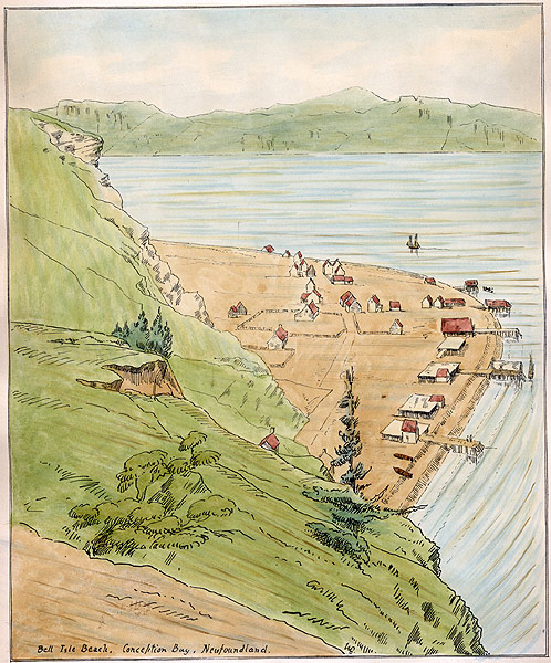 Plate VII. Bell Isle Beach, NL