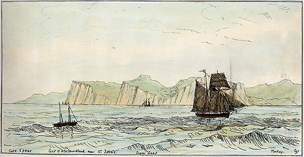 Plate I. Coast of Newfoundland, near St. John's, NL