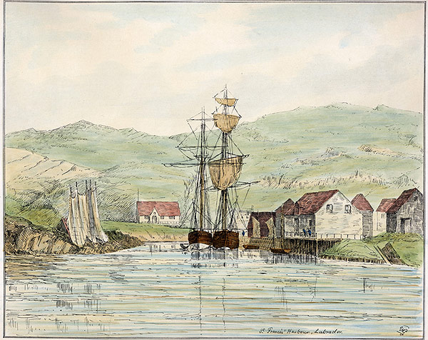 Plate XVIII. St. Francis Harbour, Labrador